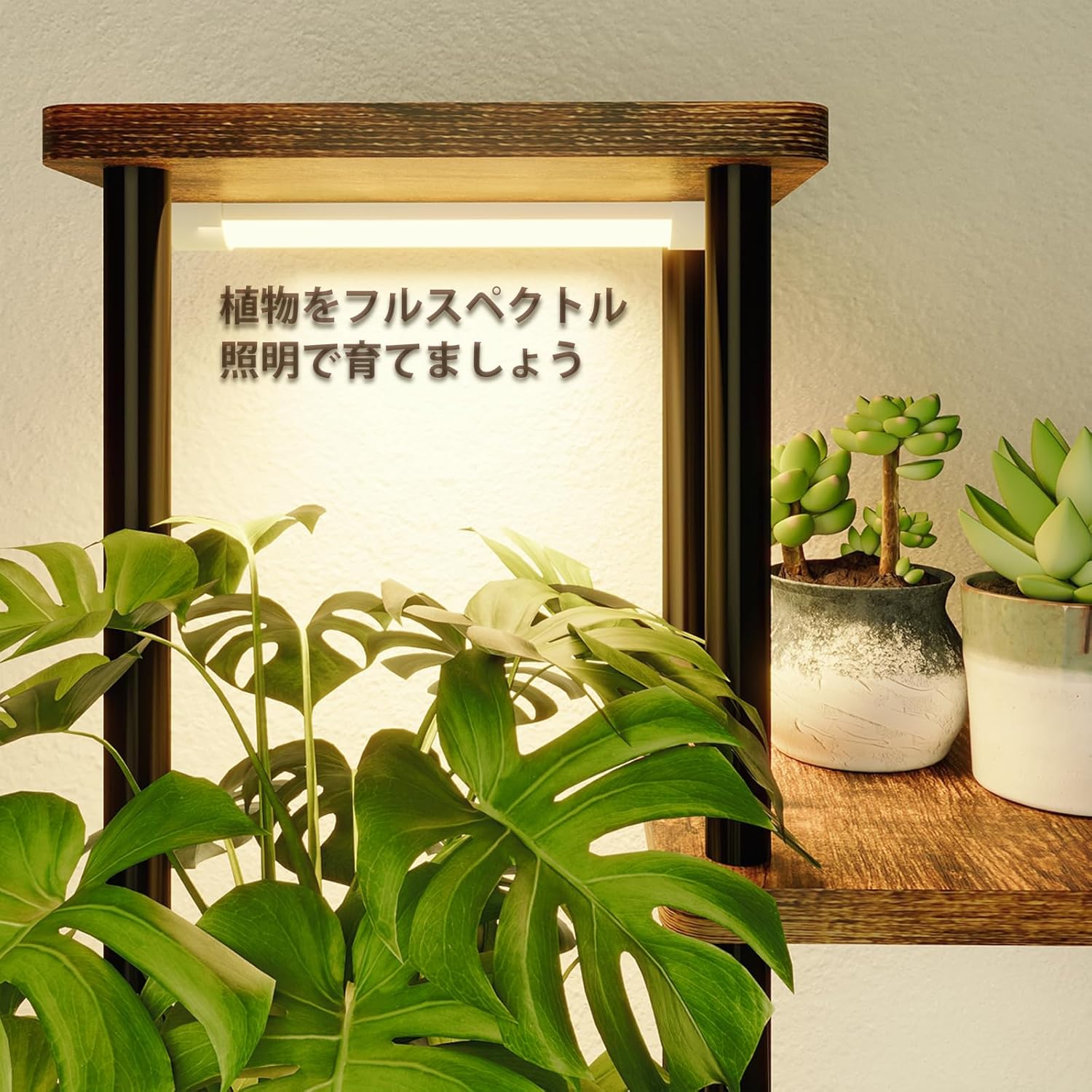 サムネイル 4