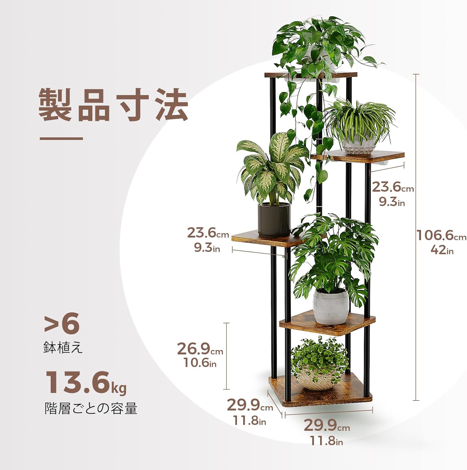 サムネイル 6