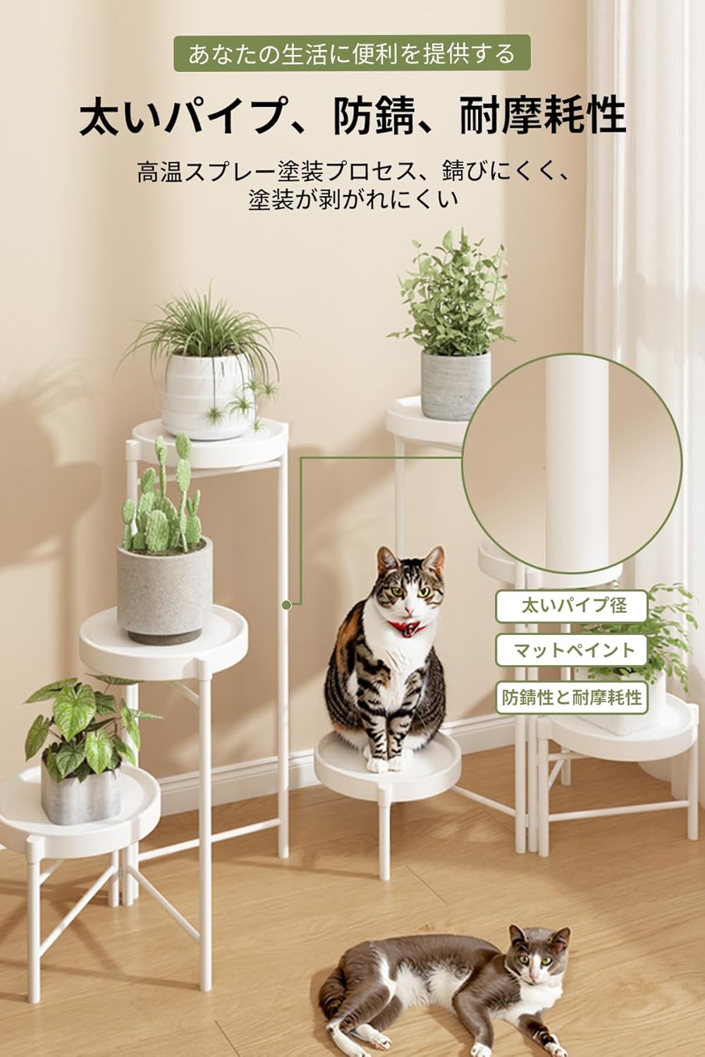 サムネイル 3