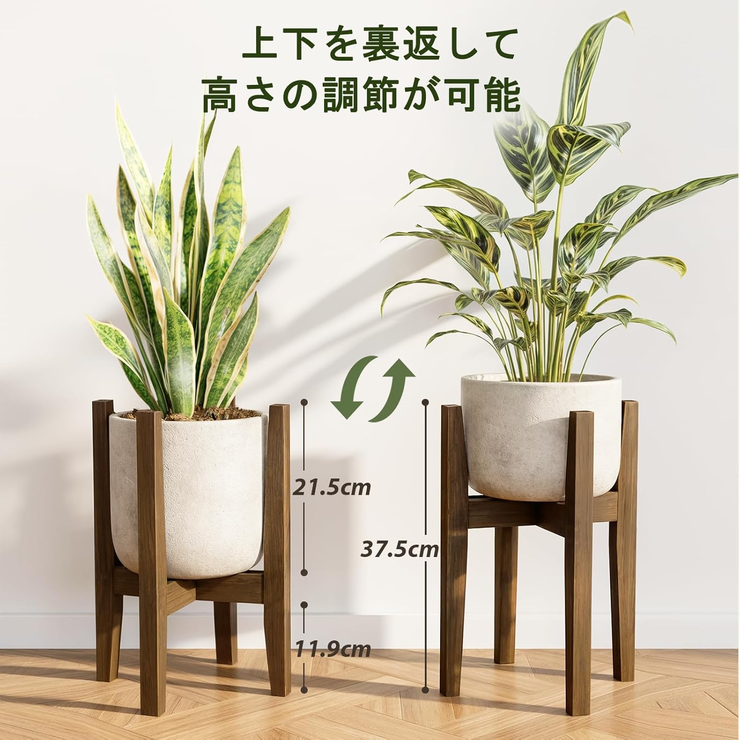 サムネイル 3