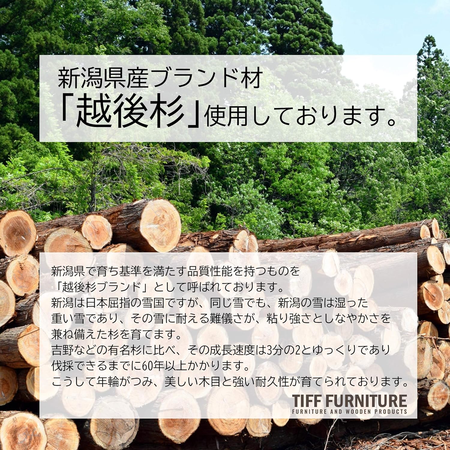 サムネイル 8